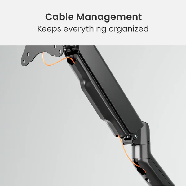 BRATECK ELEMENTAL MONITOR ARMS (DUAL) thumbnail 3