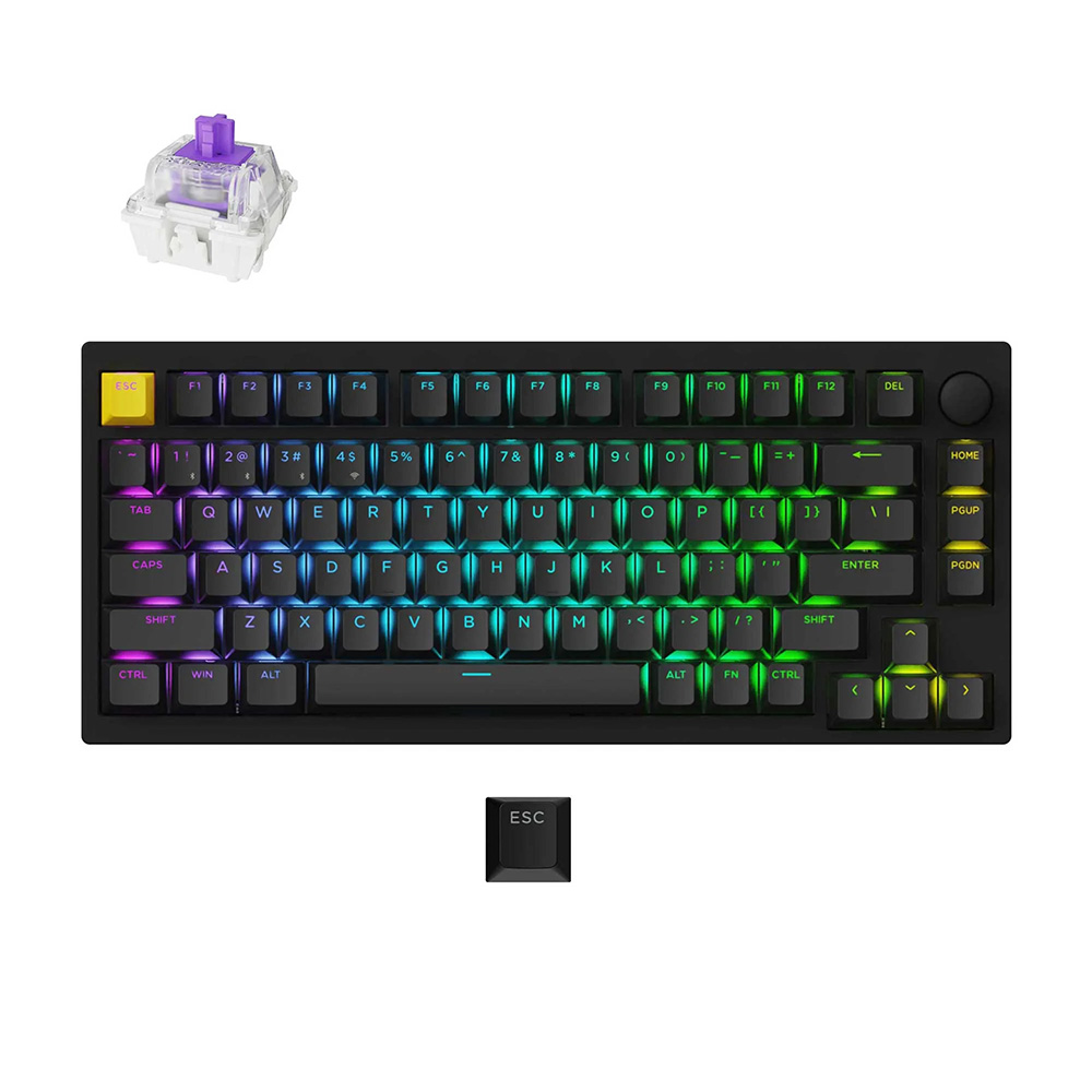 LEMOKEY P1 HE QMK 自定義機械鍵盤 Nebula Switch 星雲磁軸 BK