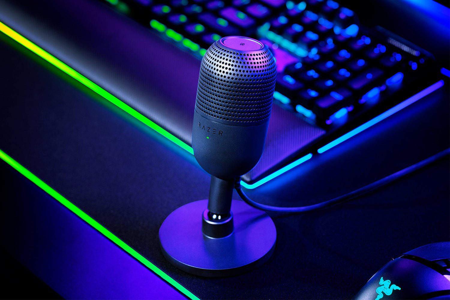 RAZER SEIREN V3 MINI 電容式麥克風 黑色