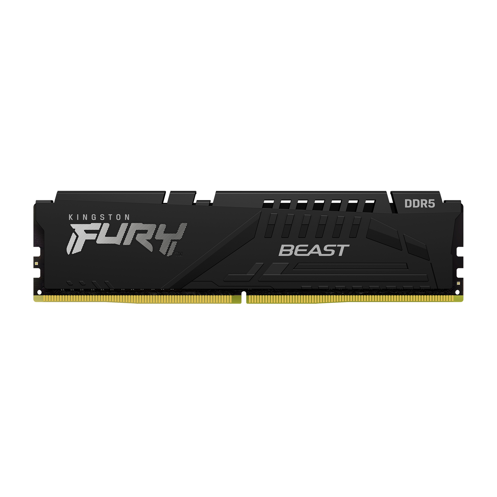 KINGSTON FURY BEAST 64G(32G*2) DDR5 5600MT/S BLACK